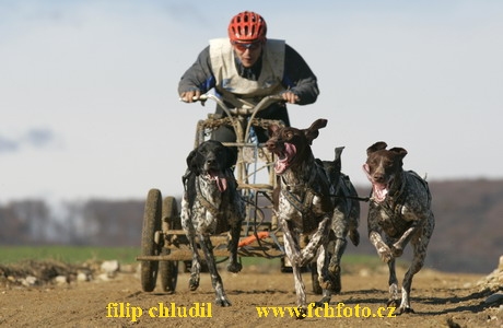 Bakonybel - 0623.JPG